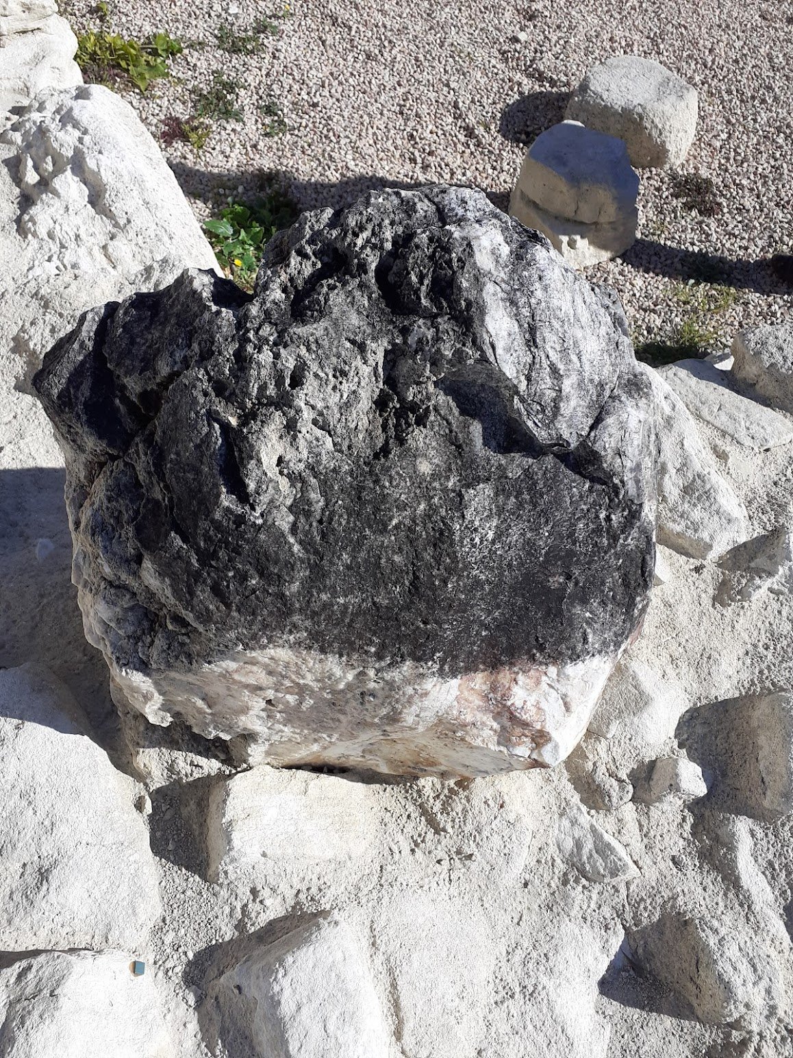 Son Fornés - Görsel 5