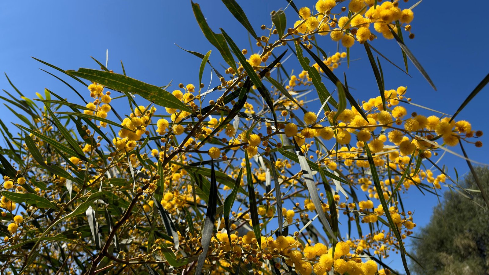 Foto Erlebnisse - Görsel 2